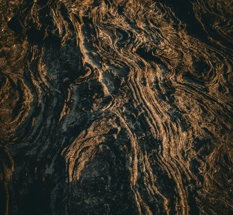 Abstract circular wooden structure representing the stable and resilient supply chain networks of global food organizations.