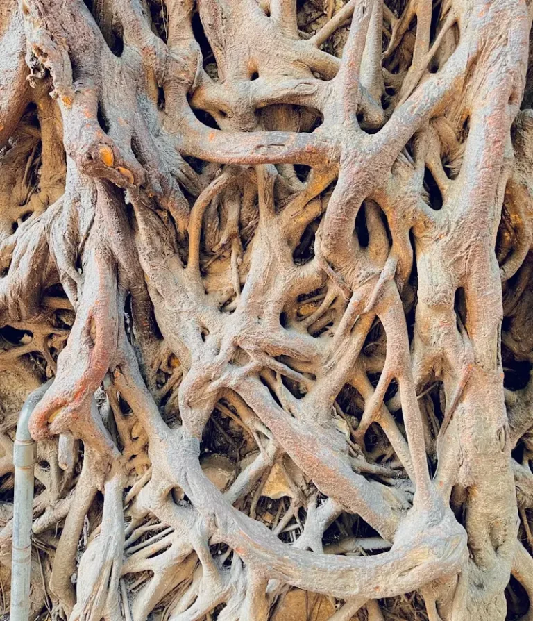 Abstract circular wooden structure representing the stable and resilient supply chain networks of global food organizations.