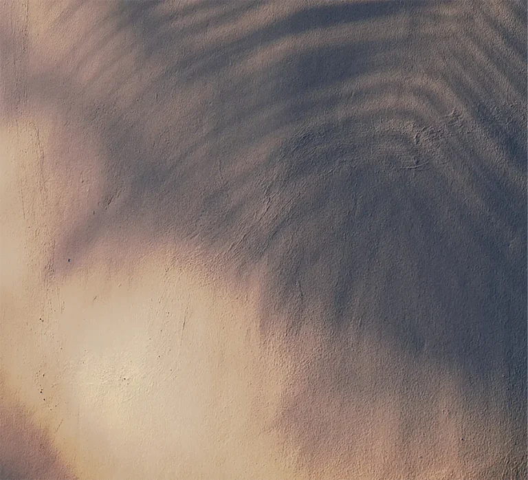 Abstract circular wooden structure representing the stable and resilient supply chain networks of global food organizations.